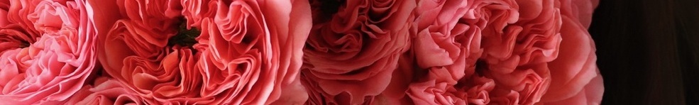 день матери 30 ноября